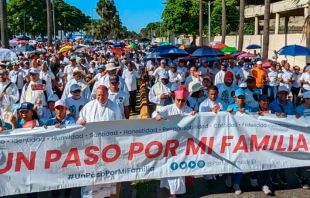 Dominicanos participan en la marcha a favor de la familia. Cru00e9dito: Un paso por Mi Familia 