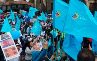 Marcha por la vida en Colombia. Cru00e9dito: Unidos por la Vida (Instagram) 