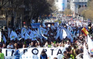 La multitud de personas que marchu00f3 hoy en Madrid por la vida y contra el aborto en Espau00f1a. Foto Blanca Ruiz / ACI Prensa 