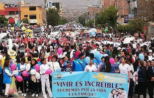 Una imagen del Corso por la Vida en 2019 en Arequipa. Cru00e9dito: Twitter Marcha por la Vida 