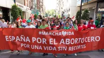 Marcha por la Vida en España (imagen referencial) / Foto: Flickr de Iglesia en Valladolid (CC-BY-SA-2.0)