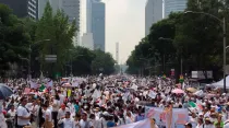 La multitud en la Marcha por la Familia en Ciudad de México. Foto: Bárbara Bustamante (ACI Prensa)