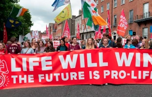 Marcha por la Vida en Irlanda, 2 de julio de 2022. Cru00e9dito: Rally for Life 
