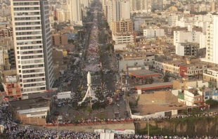Marcha por la Vida 2016 en Lima, el 12 de febrero. Foto: Marcha por la Vida. 
