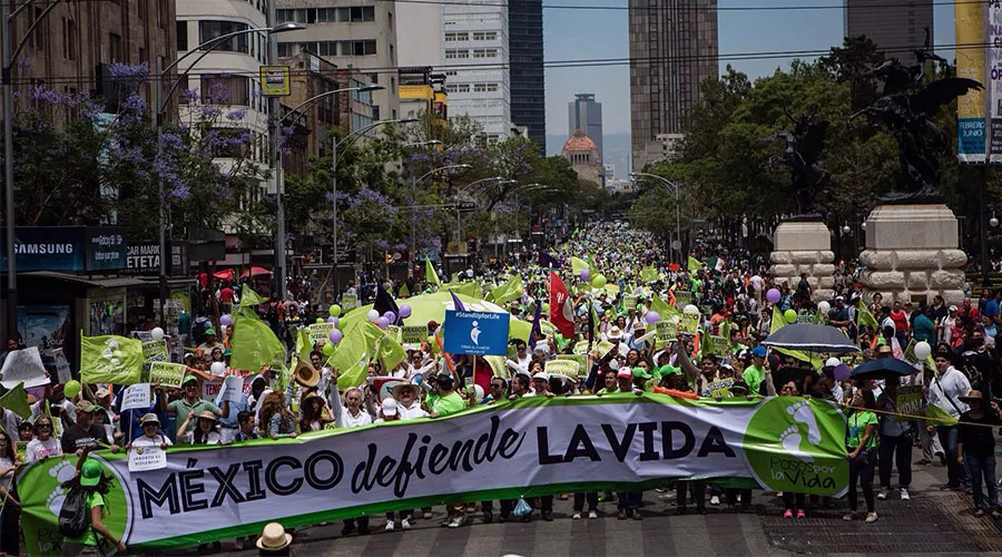 Miles participaron en la Marcha por la Vida en Ciudad de México. Foto: Pasos por la Vida A.C.?w=200&h=150