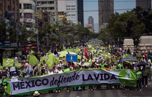 Miles participaron en la Marcha por la Vida en Ciudad de Mu00e9xico. Foto: Pasos por la Vida A.C. 