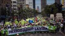 Miles participaron en la Marcha por la Vida en Ciudad de México. Foto: Pasos por la Vida A.C.
