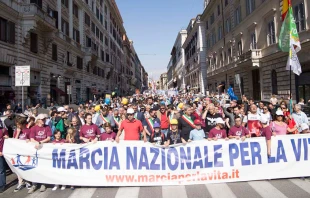 Marcha por la Vida 2018 en las calles de Roma / Cru00e9dito: Marcia per la Vita  