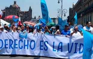 Marcha por la Vida este su00e1bado 7 de mayo en Ciudad de Mu00e9xico. Cru00e9dito: Pasos por la Vida 