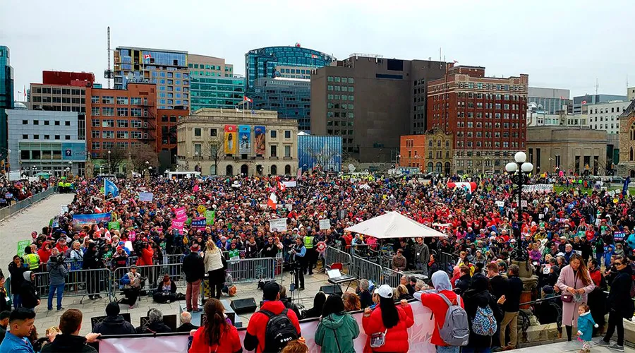 Marcha por la Vida Canadá 2019 / Crédito: Twitter de Neil MacCarthy, Director de Relaciones Públicas y Comunicaciones de la Arquidiócesis de Toronto
