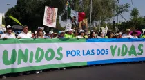 Marcha por la Vida en Ciudad de México. Foto: Rita Rosales Carrillo / Pasos por la Vida