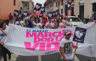 Primera ediciu00f3n de la Marcha por la Vida en Trujillo, en 2014. Foto: David Ramos / ACI Prensa. 