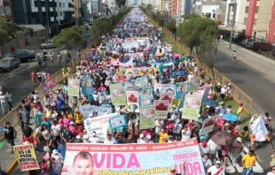 Marcha por la Vida 2016 en Peru00fa. Cru00e9dito: Eduardo Berdejo - ACI Prensa 