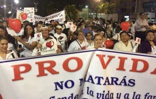 Marcha por la Vida en Santa Cruz, Bolivia / Cru00e9dito: Plataforma por la Vida y la Familia 