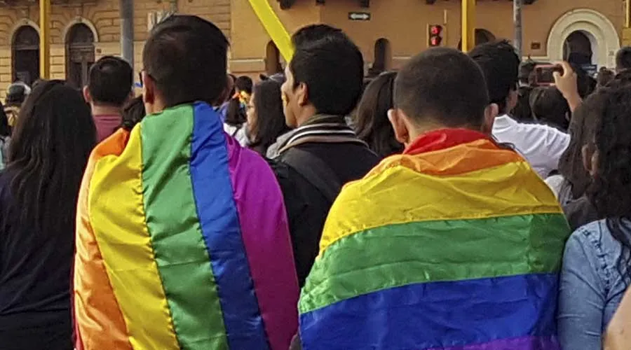 Marcha del orgullo gay en Lima, Perú. Foto: David Ramos / ACI Prensa.?w=200&h=150