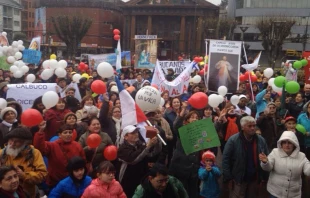 Marcha por la Vida en PuertoMontt / Foto del Movimiento Unidos por la Vida y la Familia 