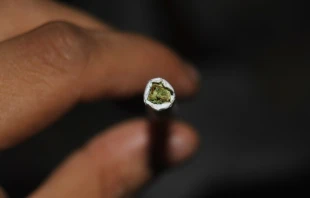 Imagen referencial. Foto: Flickr Danielle Wiebe (CC BY-NC-ND 2.0) 