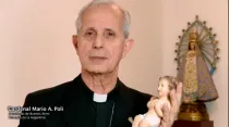 Cardenal Mario Aurelio Poli. Foto: Captura de YouTube.