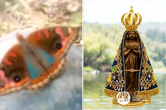 VIDEO: Mariposa con “Virgen de Aparecida” en alas consuela Brasil ante tragedia ecológica