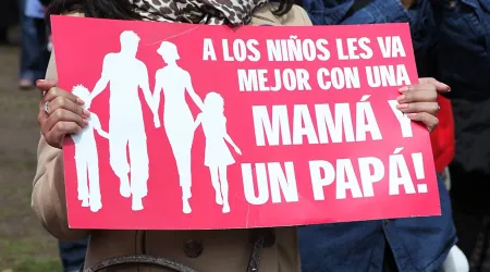 HomoVox México: El Estado debe defender matrimonio entre hombre y mujer