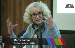 Marta Lamas en u201cConversatorio sobre el Movimiento Feministau201d. Cru00e9dito: Captura de video / Universidad Autu00f3noma Metropolitana. 