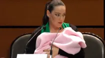 Martha Cecilia Márquez. Foto: Captura de video / Senadores del PAN.