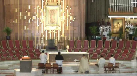 Mater Fátima: Así se sumó la Basílica de Guadalupe al Rosario mundial por la paz [VIDEO]