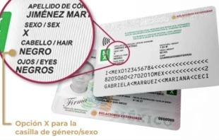 Nueva Matru00edcula Consultar del Gobierno de Mu00e9xico. Cru00e9dito: Secretaru00eda de Relaciones Exteriores. 