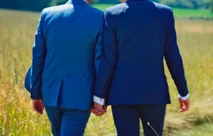 Imagen referencial. Cru00e9dito: Pixabay / Dominio pu00fablico. 