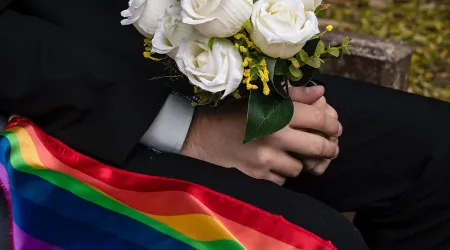 Defensoría rechaza por motivo ideológico fallo contra registro de “matrimonio” gay, afirman