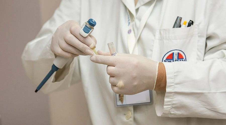 Foto referencial Pixabay dominio pu00fablico?w=200&h=150