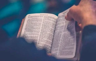 Imagen referencial. Cru00e9dito: Unsplash 