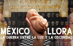 Cru00e9dito: Faro Films. 