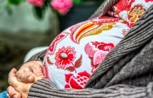 Imagen referencial / Cru00e9dito: Pixabay 