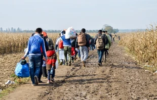 Imagen referencial. Cru00e9dito: Shutterstock 