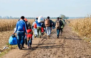 Imagen referencial. Cru00e9dito: Shutterstock 