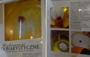 Imu00e1genes e historia (en polaco) del milagro eucaru00edstico. Cru00e9dito: Diu00f3cesis de Legnica 