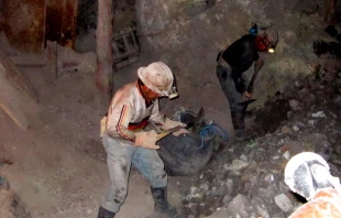 Foto referencial. Wikipedia Albert Backer (CC-BY-SA-3.0) 