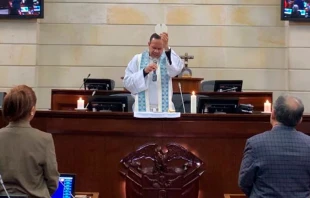 El P. u00c1ngel David Agudelo celebra una Misa en el Senado de Colombia. Cru00e9dito: Twitter senador Mauricio Giraldo. 