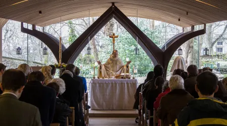 La Liturgia no es una convivencia simpática sino un momento sagrado, afirma Cardenal
