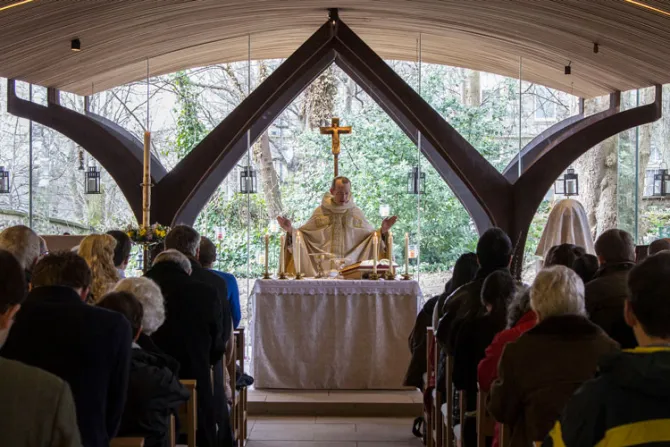La Liturgia no es una convivencia simpática sino un momento sagrado, afirma Cardenal