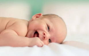 Imagen referencial. Cru00e9dito: Foto de Filip Mroz en Unsplash 