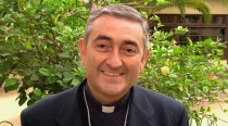 Mons. Héctor Vargas. Foto: Sitio web de la Conferencia Episcopal de Chile
