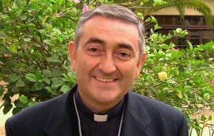 Mons. Héctor Vargas. Foto: Sitio web de la Conferencia Episcopal de Chile 