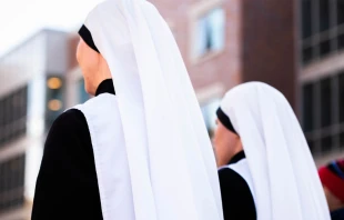 Foto referencial. Cru00e9dito: Gianna Bonello / Unsplash 