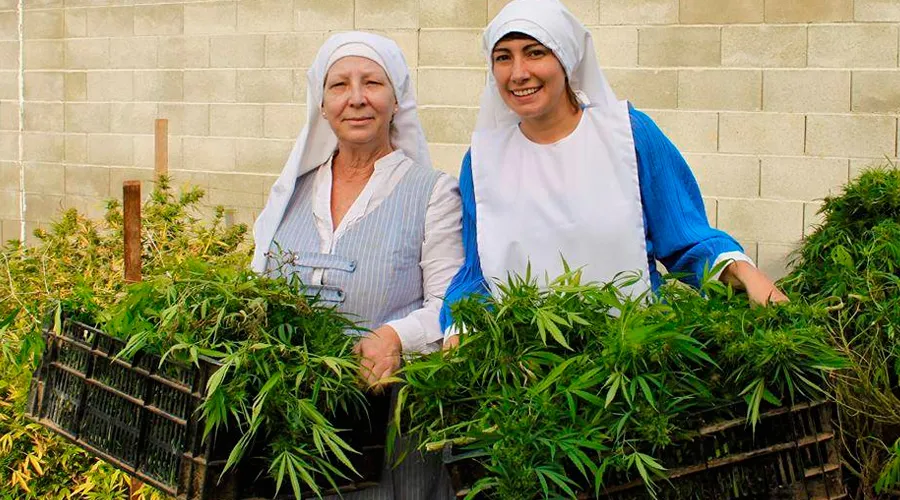 Las mujeres que se visten de religiosas y cultivan marihuana / Foto: Facebook Sisters Of The Valley?w=200&h=150