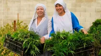 Las mujeres que se visten de religiosas y cultivan marihuana / Foto: Facebook Sisters Of The Valley