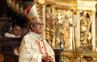 El Arzobispo de Valladolid, Mons. Luis Argüello. Crédito: Arzobispado de Valladolid.