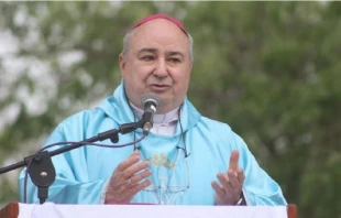 Mons. Daniel Fernu00e1ndez. Cru00e9dito: Conferencia Episcopal Argentina 