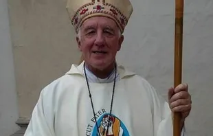 Mons. Fernando Maletti, Obispo de Merlo- Moreno. Crédito: Pastoral de Comunicación de la Diócesis de Merlo- Moreno. 